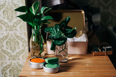 Close-up of potted plants on table at home
