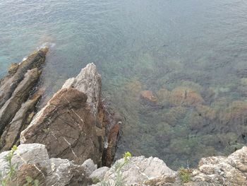 High angle view of rocks in sea