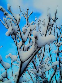 Low angle view of bare tree against blue sky