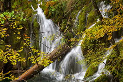 Autumn on waterfalls of the plitvice lakes, croatia