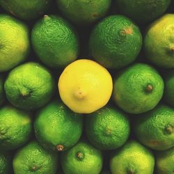 Close-up of limes