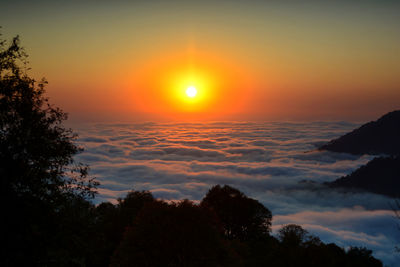 Scenic view of silhouette trees against romantic sky at sunset