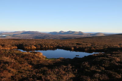 Scenic view of landscape against clear sky