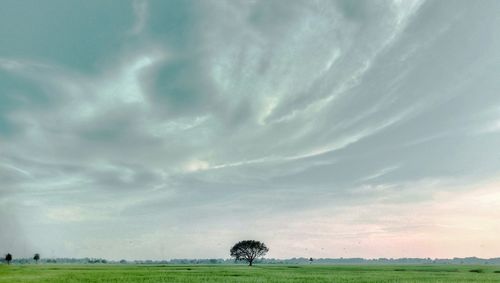 Scenic view of field against sky