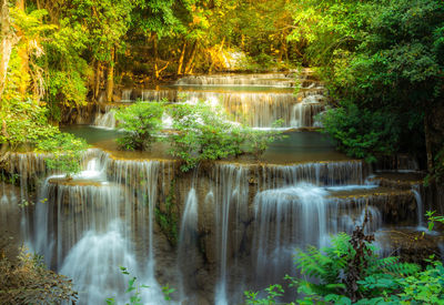 Scenic view of waterfall in forest