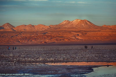 Scenic view of desert against sky