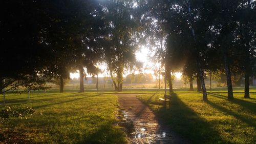 Trees on field against sky