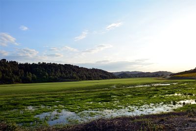 Scenic view of landscape against sky