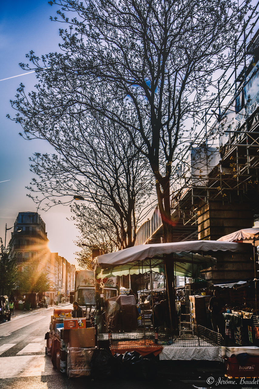 tree, building exterior, architecture, mode of transportation, transportation, built structure, city, bare tree, land vehicle, street, nature, motor vehicle, car, plant, sunlight, sky, incidental people, building, road, city life, city street, outdoors