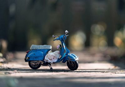 Close-up of flower on toy motor scooter over footpath