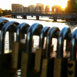 Close-up of padlocks on railing