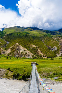 Scenic view of landscape against sky