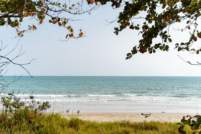 Scenic view of sea against clear sky