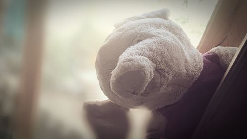 Close-up of stuffed toy