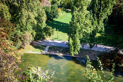 High angle view of plants by lake