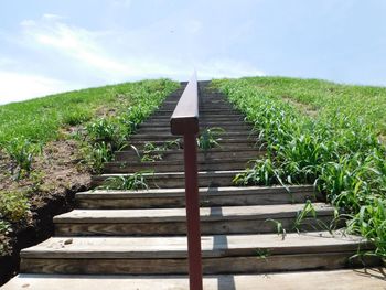 Boardwalk amidst plants on field against sky