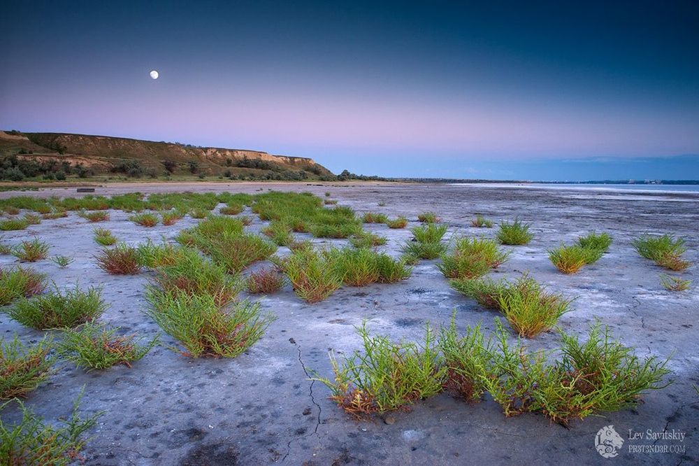 sea, tranquil scene, tranquility, blue, beauty in nature, sky, beach, nature, scenics, water, horizon over water, clear sky, plant, shore, rock - object, copy space, outdoors, landscape, sunlight, growth