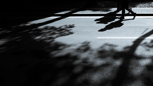 Shadow of people on road