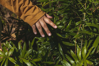 Close-up of hand touching plant