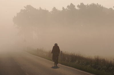 Rear view of man walking on road amidst trees