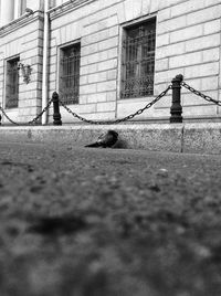 Man in city against sky