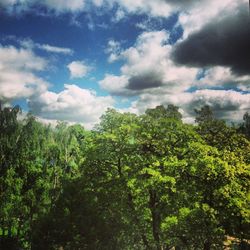 Low angle view of trees against cloudy sky