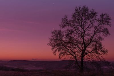 Silhouette tree against sky during sunset