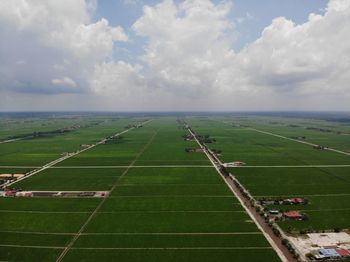 Scenic view of agricultural field against sky