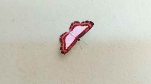 High angle view of red heart shape on white background