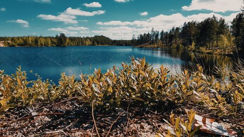 Scenic view of lake against sky