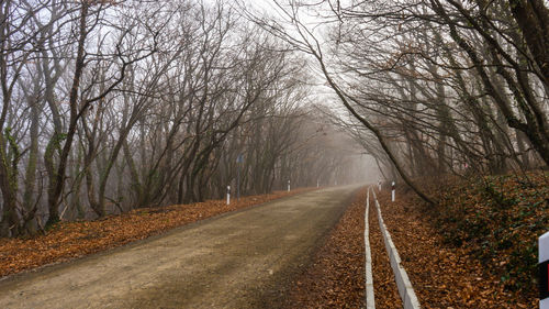 Road amidst trees in forest during autumn