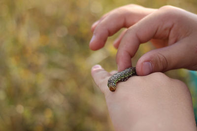 A caterpillar on a child hand. diverse environment, love and interest in nature