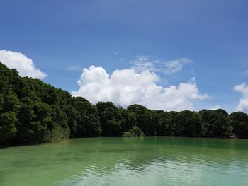 Scenic view of lake by trees against sky