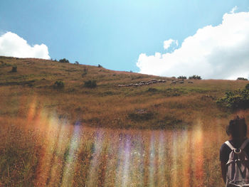 Rear view of woman on field against sky