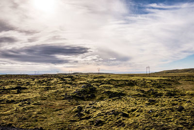 Scenic view of field against sky