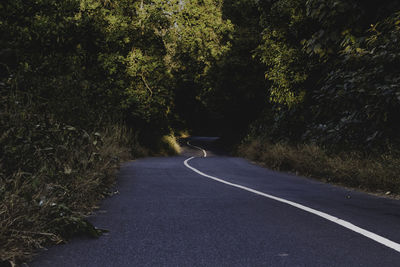 Empty road amidst trees in forest