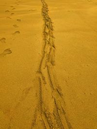 High angle view of footprints on sand at beach