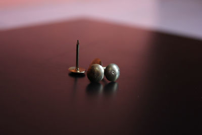 High angle view of fruits on table