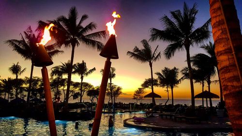Palm trees on swimming pool at beach during sunset