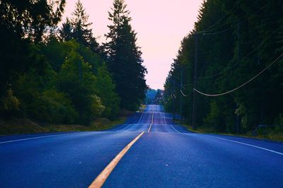 Empty road along trees