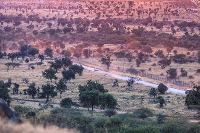 High angle view of trees on landscape