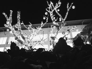 Low angle view of illuminated lights at night