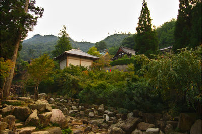 Houses in a village