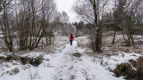 Rear view of person walking on snow covered land