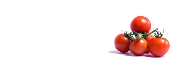 Close-up of tomatoes against white background