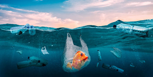 Fish swimming in sea against sky