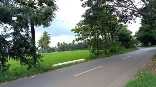 Road amidst trees against sky