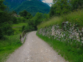 Dirt road amidst trees on mountain
