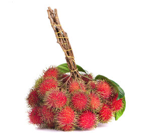 Close-up of berries against white background