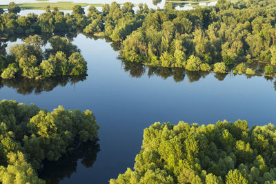 High angle view of trees by lake